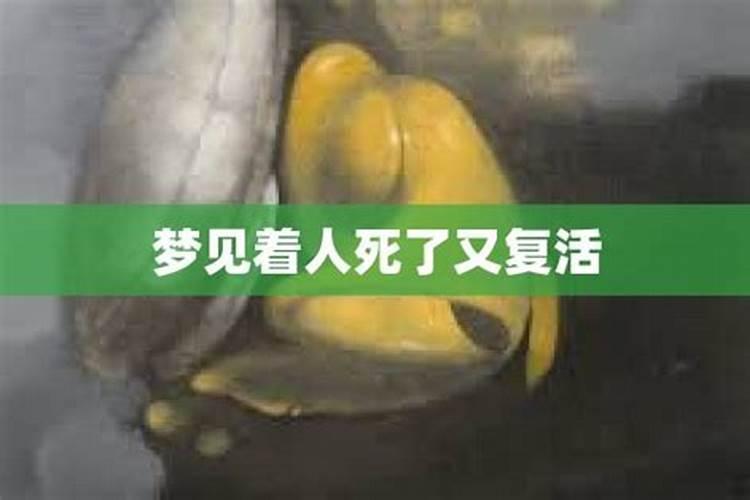 梦见人死了复活了