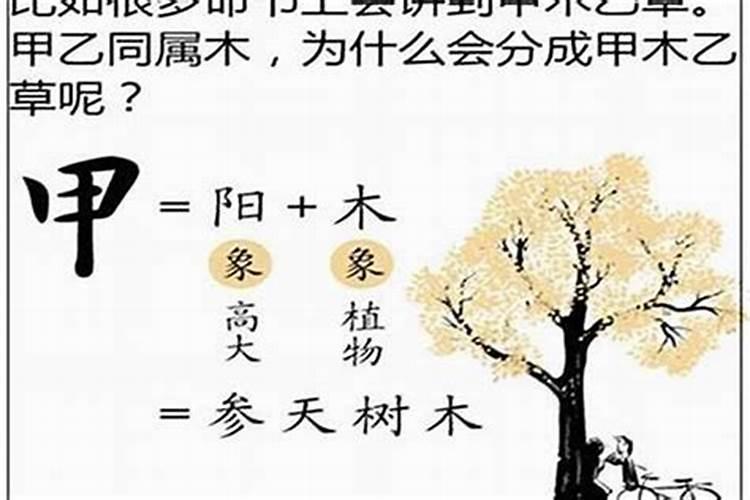 八字忌木能从事木的工作