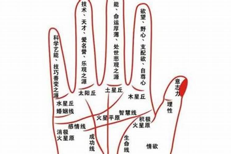 梦见车祸什么预兆女人怀孕