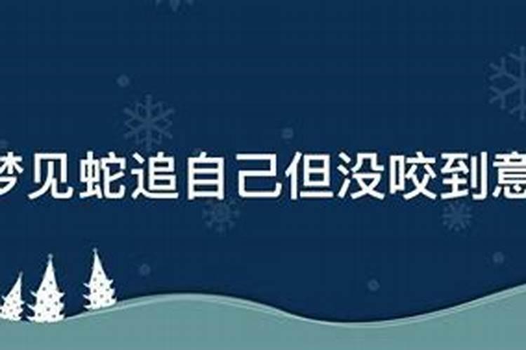 梦见蛇追我跑没咬到我周公解梦