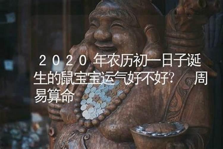 l972年2月出生人今年的运势