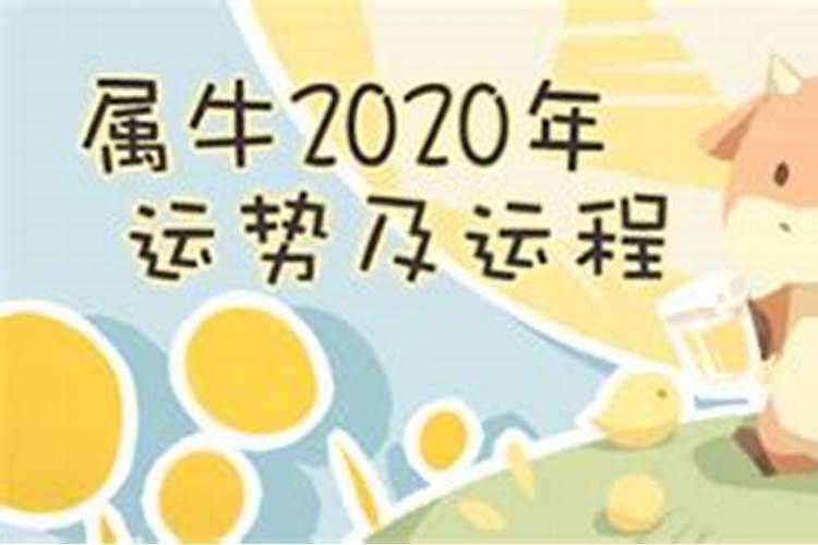 84年牛2021年运势