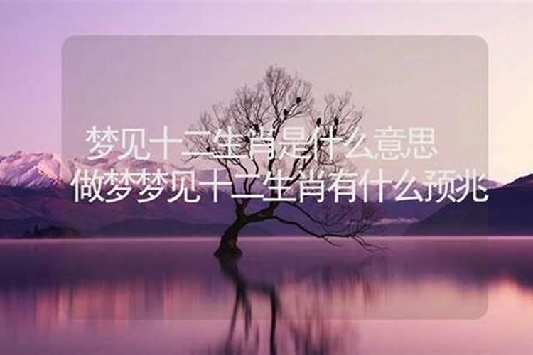 梦到姐姐生孩子好不好预兆是什么生肖