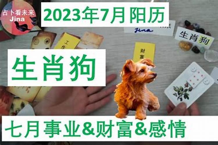 属狗人2023年的阴历七月运程详解