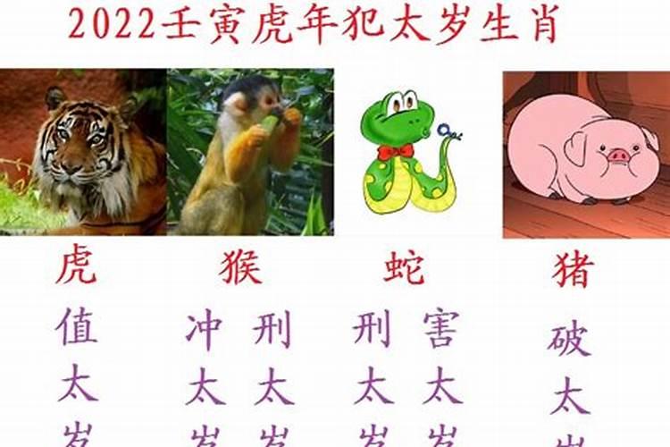 2022年虎年怎么破太岁