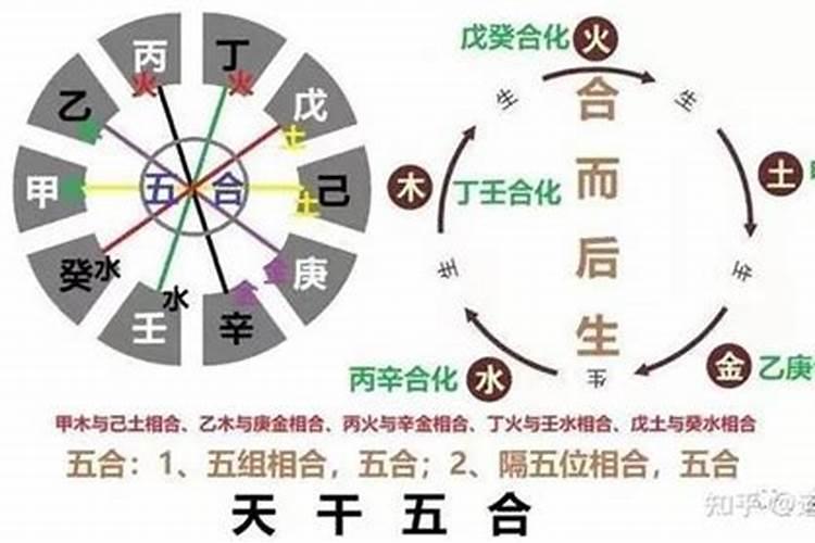 为什么说农历九月初九是中国的重阳节