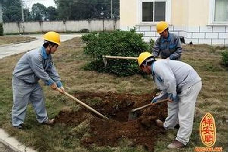 腊八节具体在哪一天开始