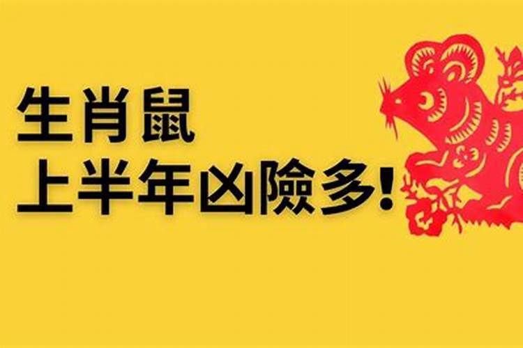 梦见狗扑我别人救我