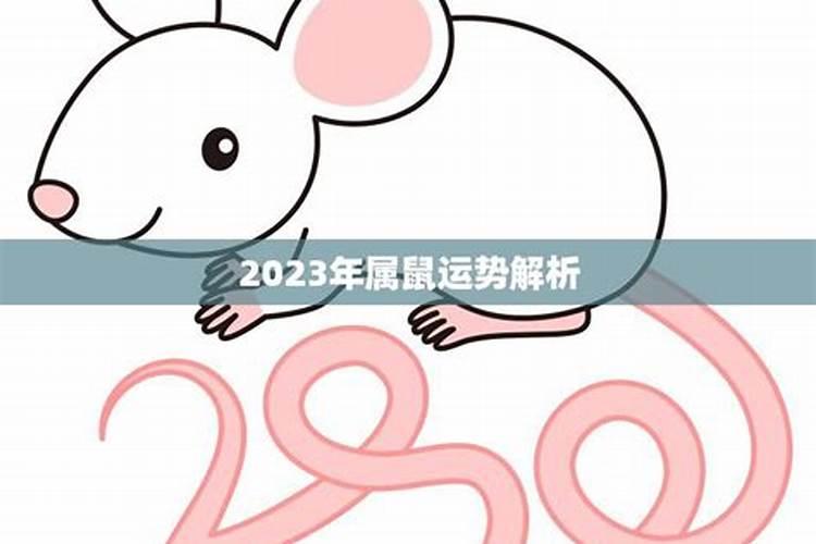 2023年农历10月属鼠运势如何