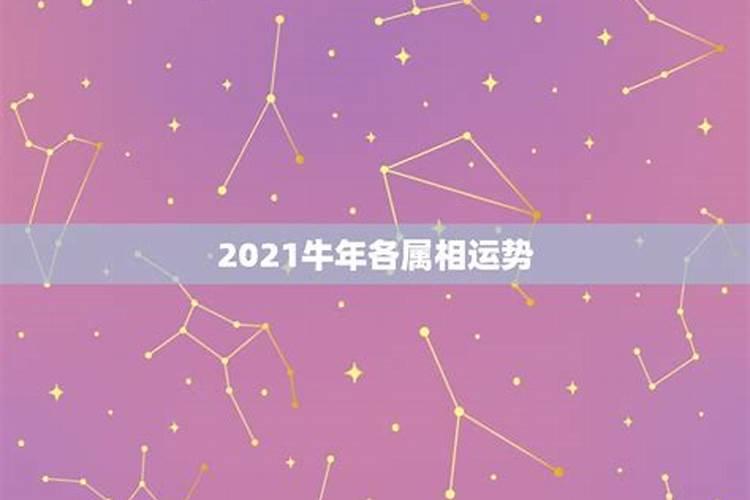 51年属牛人2023年运程