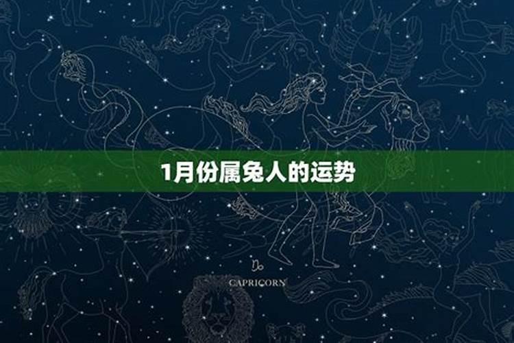 属兔的12月运程怎么样