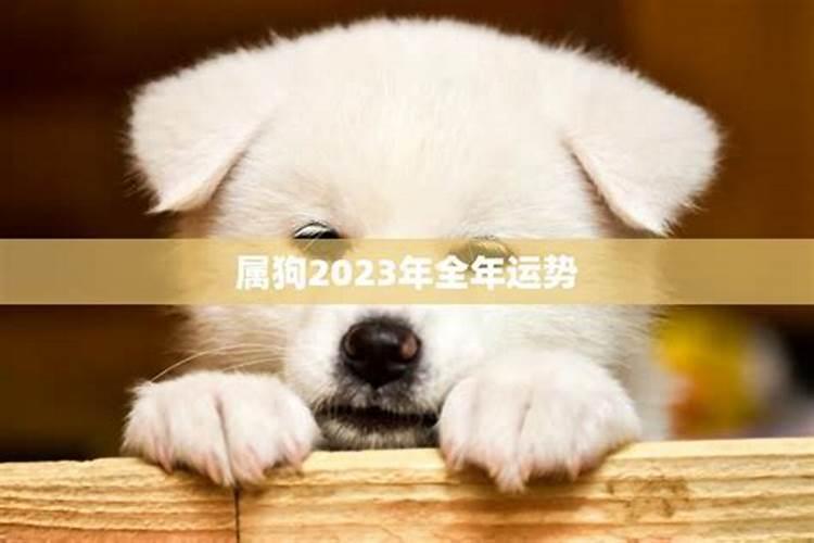 属狗2023年6月运势如何看