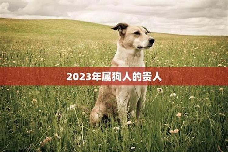 2023年属狗最旺的颜色