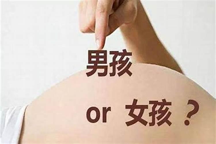 生肖马和什么生肖是三合的关系