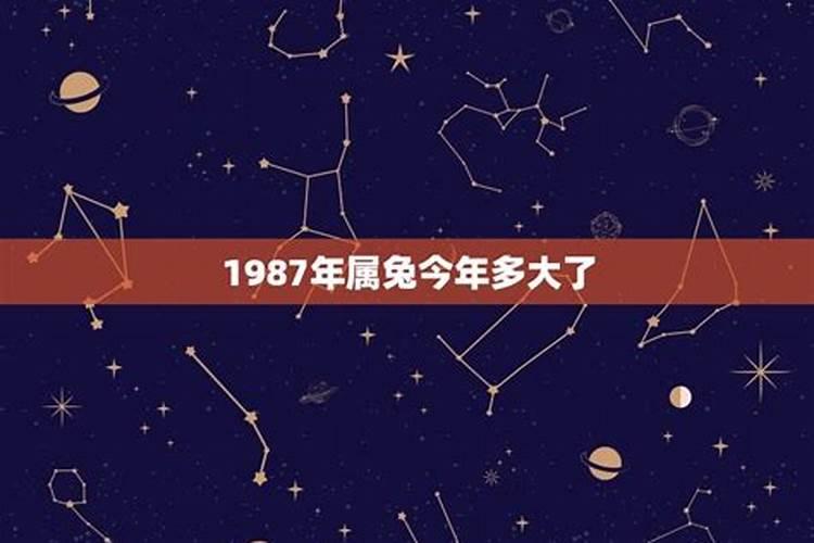 1987年属兔今年多大了2021