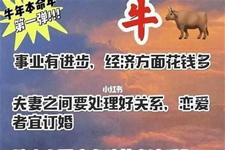 生辰八字犯太岁与生肖太岁区别大吗