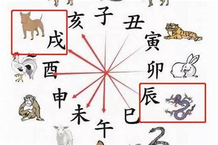 因八字不合离婚