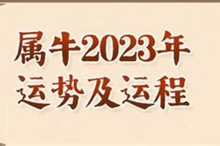 2023牛年出生的全年运势怎么样