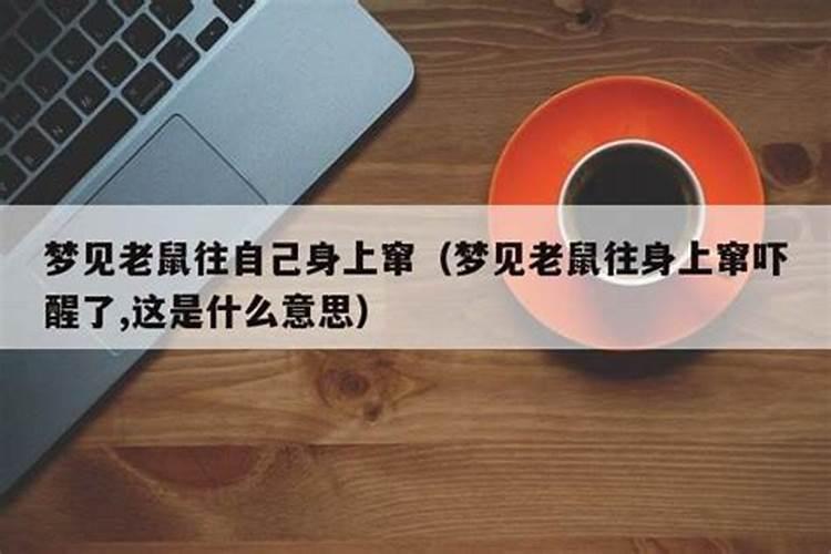 梦见老鼠爬身上被吓醒什么意思