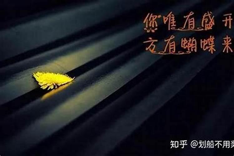 清明节都干什么