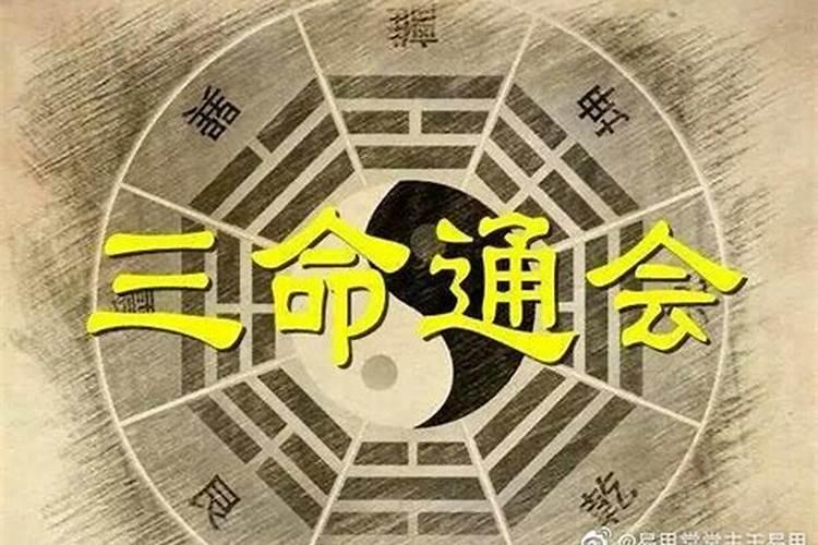 生辰八字中支神十神什么意思