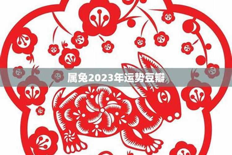 兔在2023年运势如何