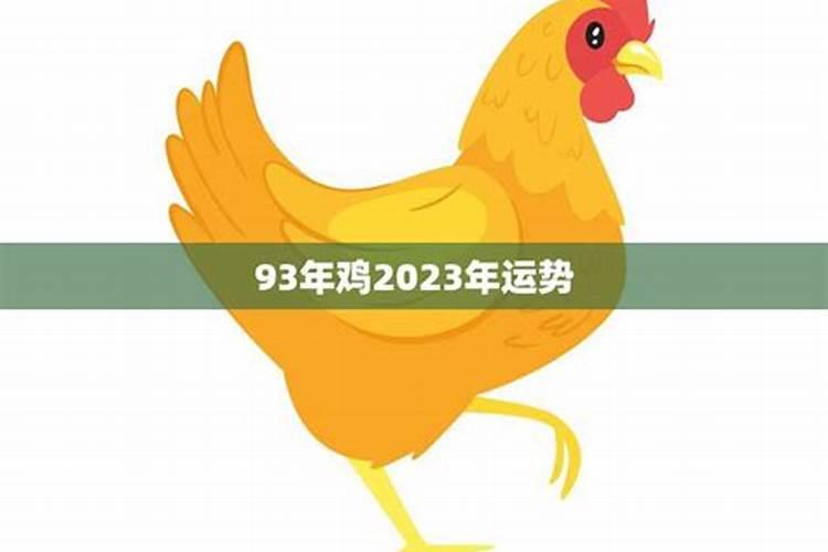 93鸡今年的运势如何2021