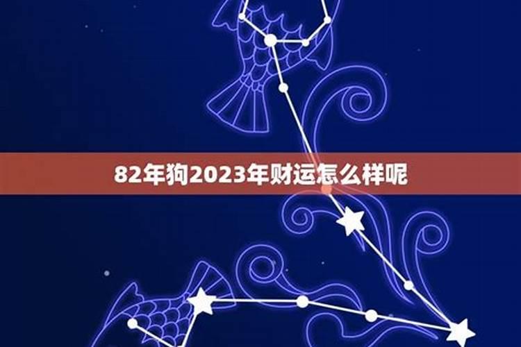 狗2023年农历9月运势如何样