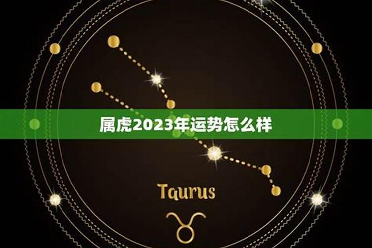 生于七月属虎人2023年运程