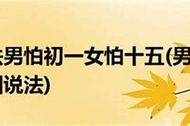 1966属马2024年运势及运程