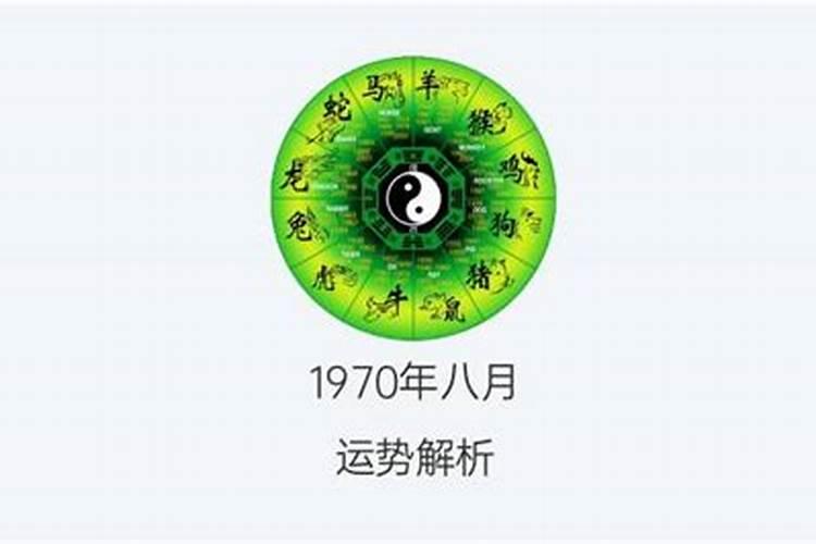 1982年八月初六今年的运势怎么样