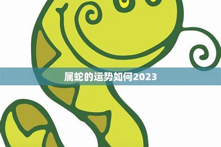 79年属羊女在2023年全年运势如何