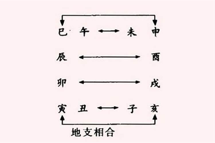 八字中有午未合代表什么