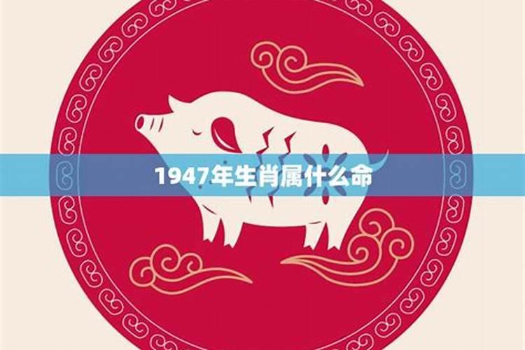 猪年1947年运势