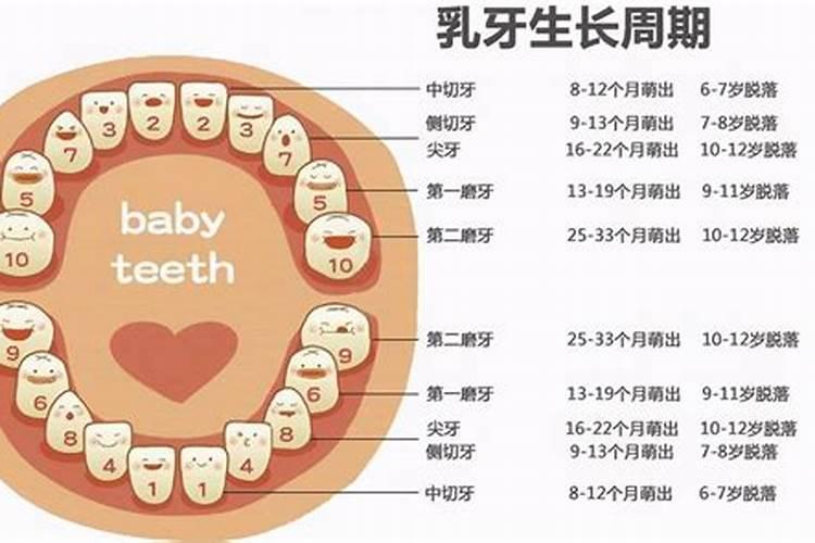 梦见7个月宝宝长牙齿什么意思