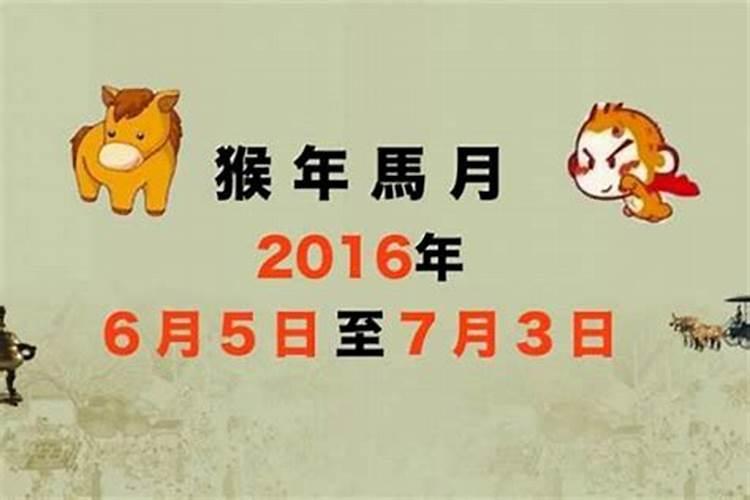 鸡宝宝2023年运势如何