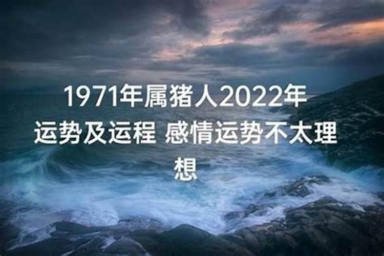 1971年在2022年运势