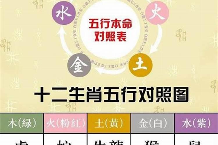 怎样确定五行属性