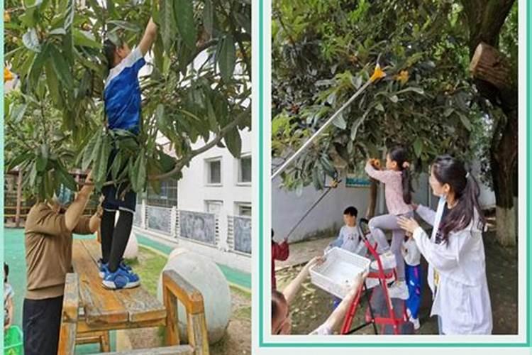 北方家乡的重阳节风俗有哪些