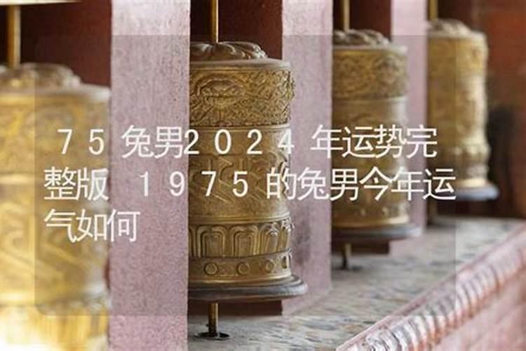 75的兔今年运势