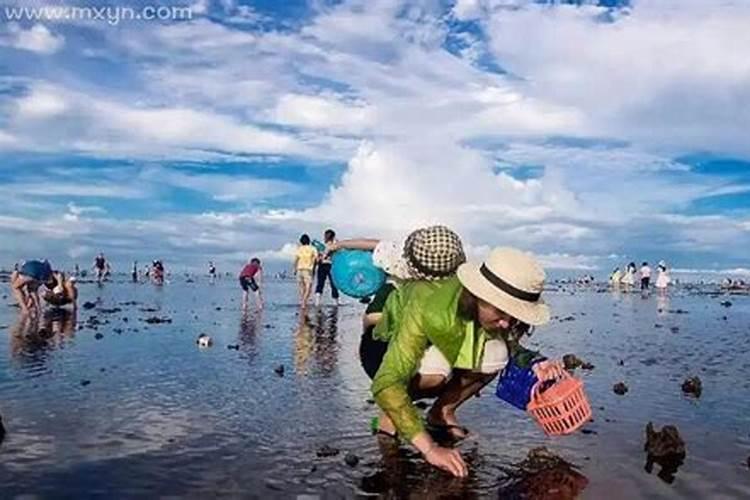 梦见大海涨潮捡海鲜怎么回事