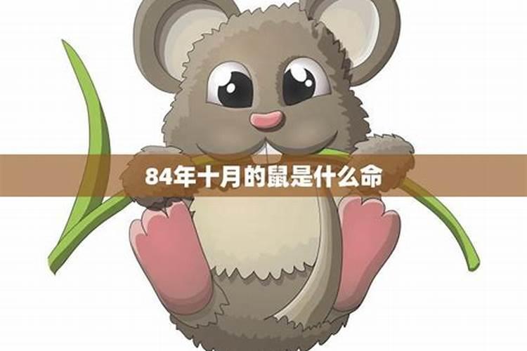 重阳节是公历还是农历9月9日