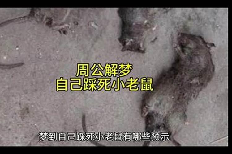 梦见打老鼠打不死是什么征兆女性解梦