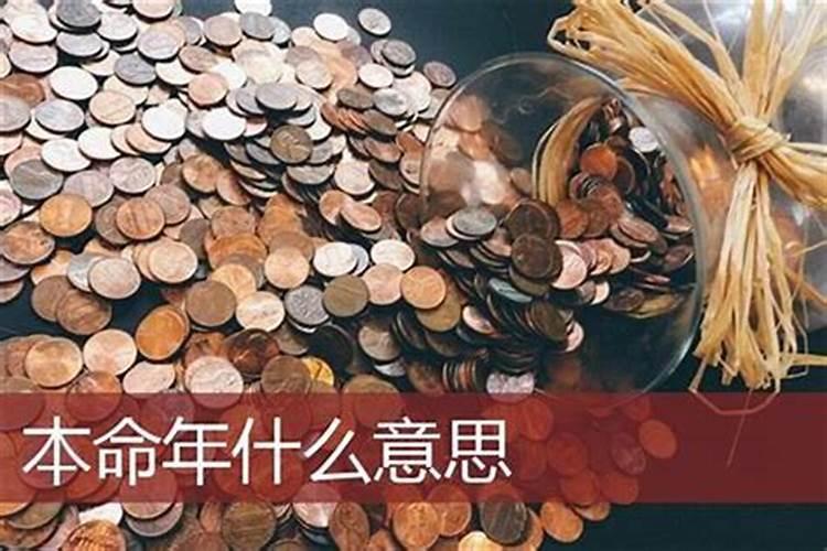 属鸡的今年5月运势及运程