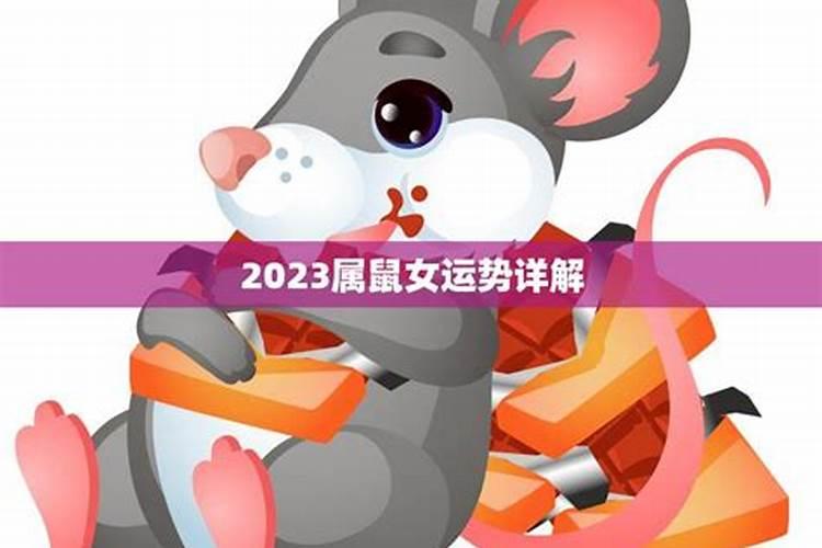 属鼠女运势2023年运势