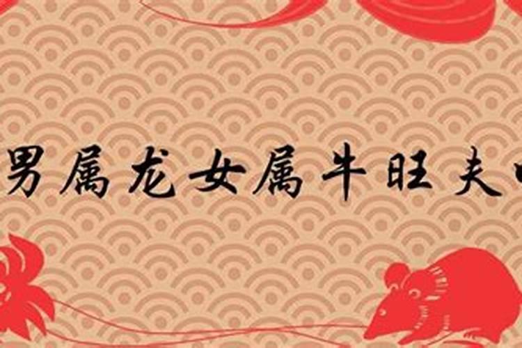 夫妻俩都属鸡今年运势怎么样