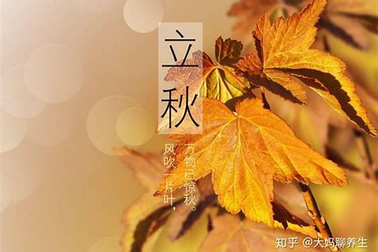 立秋后的季节是什么