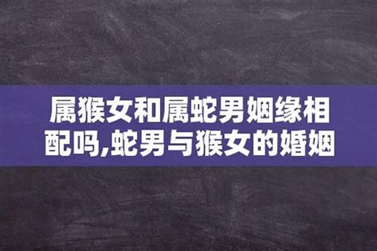 属猴女和属蛇男合婚吗婚姻如何啊