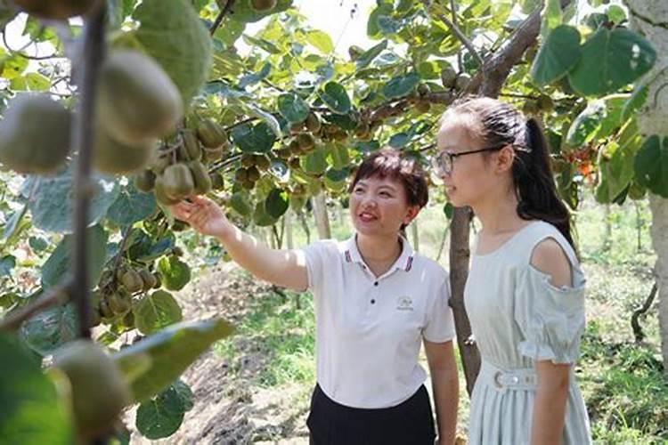 虎和什么属相相配婚姻如何