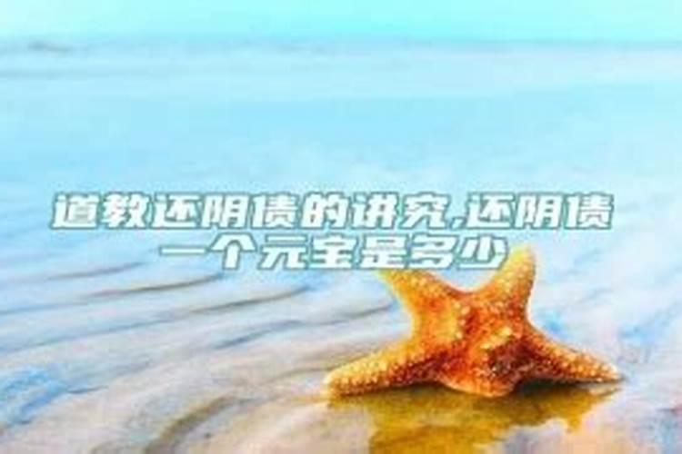 属兔爸爸属猪妈妈生什么宝宝好